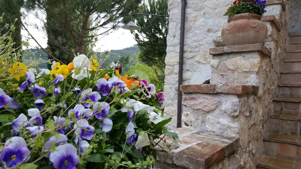Agriturismo I Terzieri Ferentillo Exterior foto