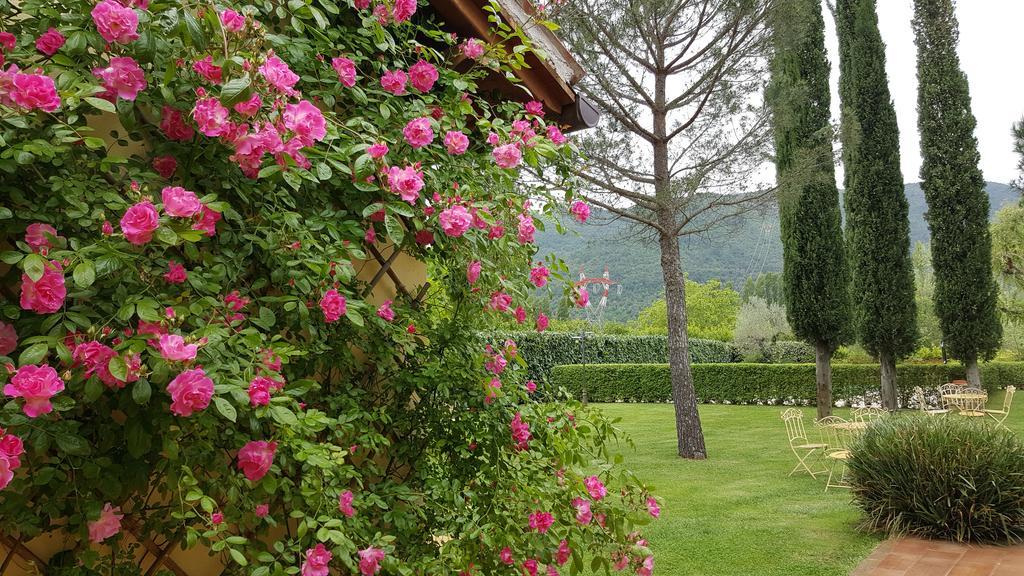 Agriturismo I Terzieri Ferentillo Exterior foto